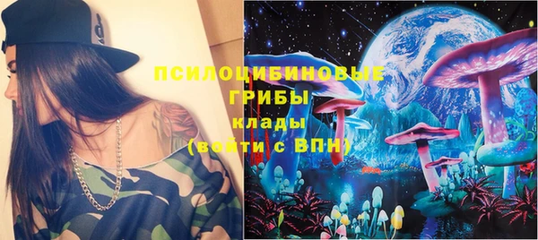 мяу мяу мука Баксан