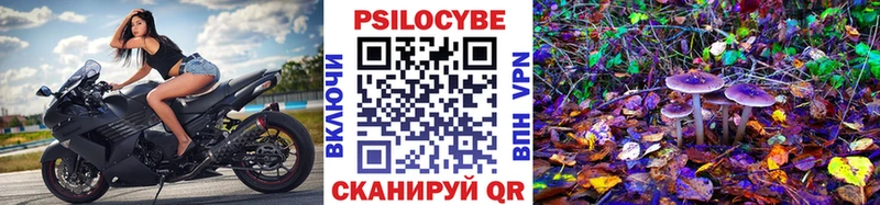 Псилоцибиновые грибы мицелий  как найти наркотики  Корсаков 