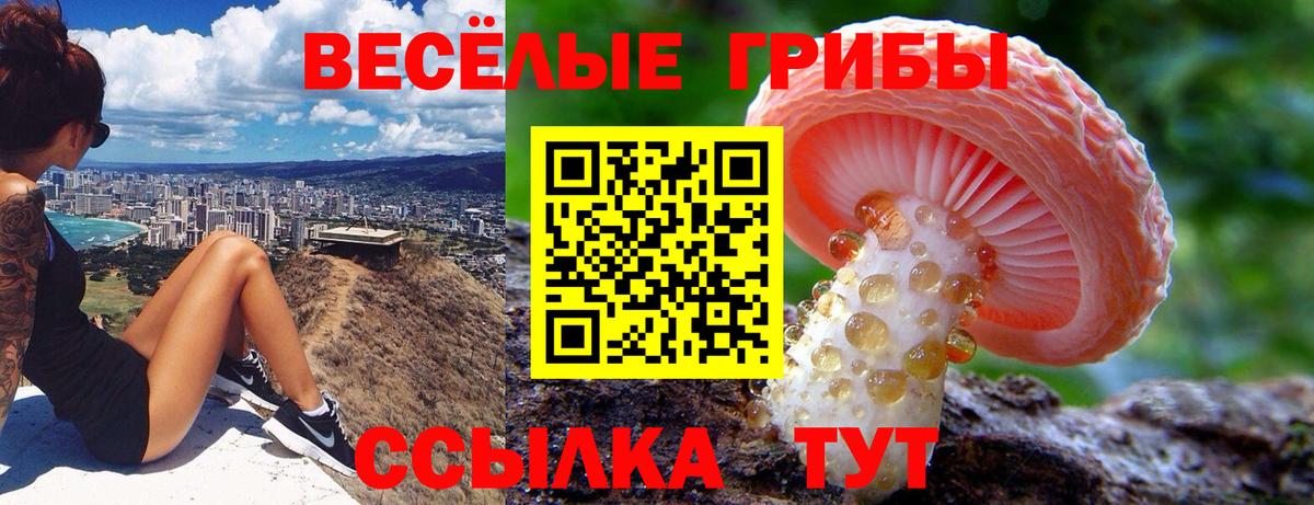 Галлюциногенные грибы мухоморы  Вход с VPN  Псилоцибиновые грибы MAGIC MUSHROOMS  Корсаков 